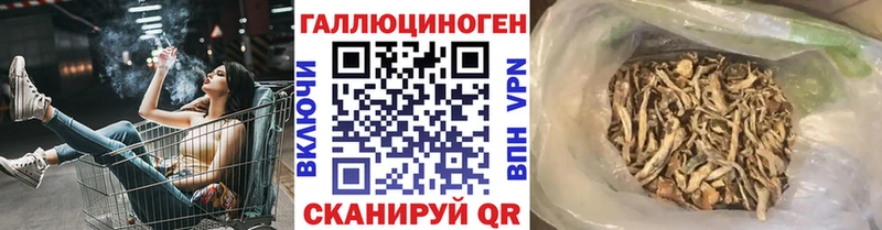 Купить закладки  Богданович  Псилоцибиновые грибы Cubensis 